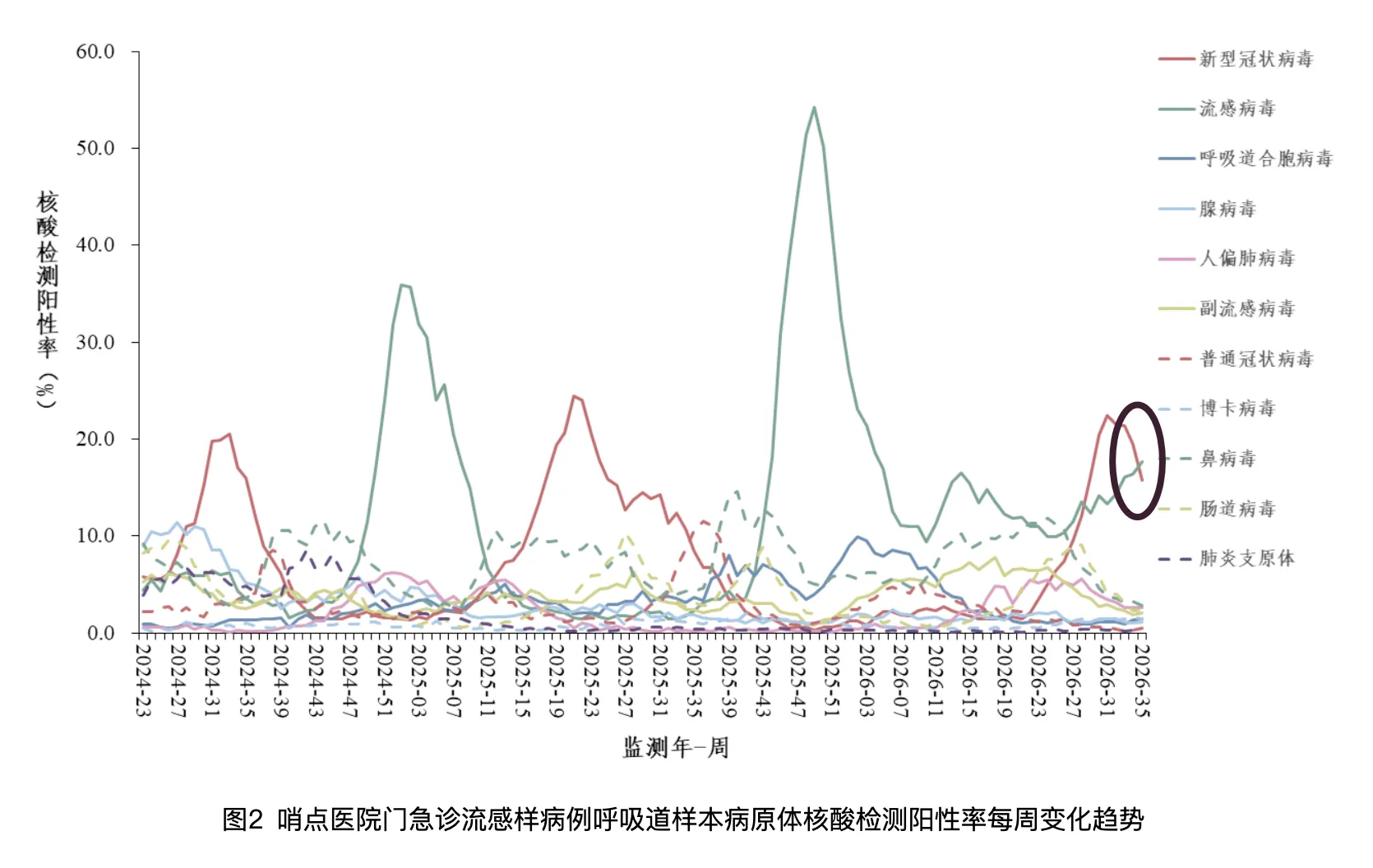 图2 哨点医院门急诊流感样病例呼吸道样本病原体核酸检测阳性率每周变化趋势